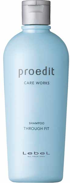 Lebel Proedit Care Works Through Fit Shampoo - Шампунь для прямых волос 300 мл
