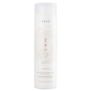 Brae Soul Color Shampoo — Шампунь для окрашенных волос 250мл